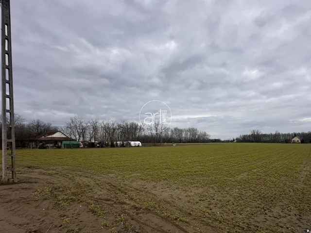 Eladó mezőgazdasági ingatlan Domaszék 6241 nm