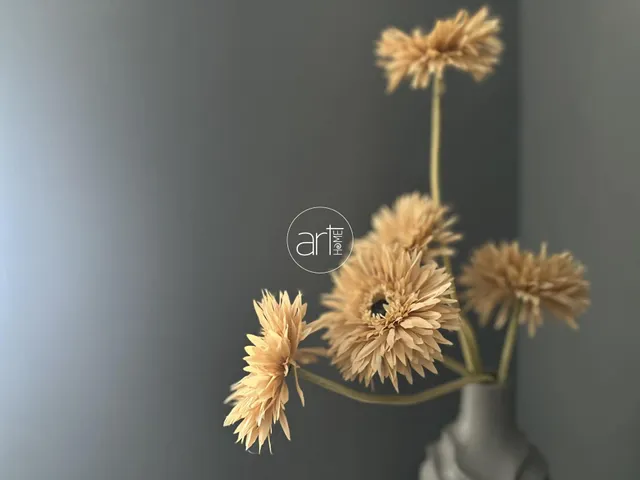 Kiadó lakás Szeged, Belváros, Kígyó utca 66 nm