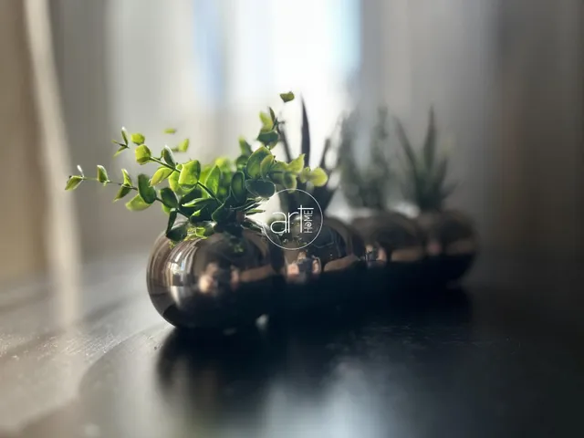 Kiadó lakás Szeged, Belváros, Kígyó utca 66 nm