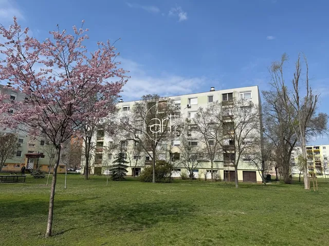 Eladó lakás Szeged, Makkosház 47 nm