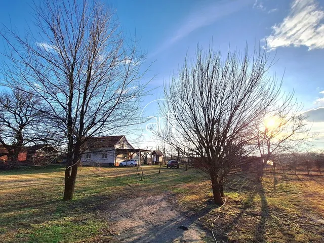 Eladó ház Szatymaz, Külterület, tanya 140 nm