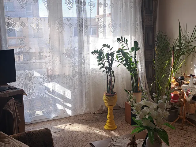 Eladó lakás Debrecen, Újkert 44 nm