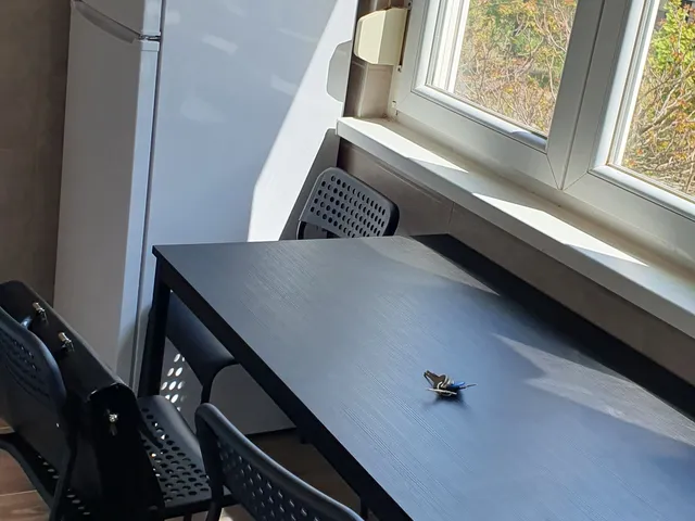 Kiadó lakás Debrecen, Belváros, Bethlen utca 54 nm