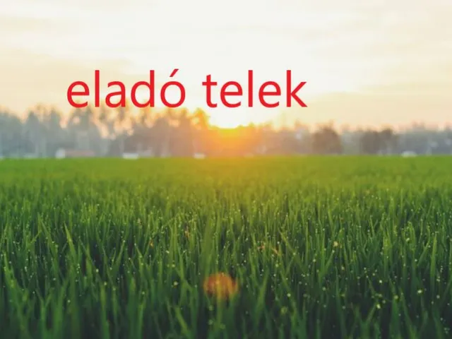 Eladó telek Nagykőrös 35000 nm