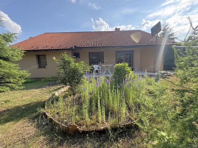 Eladó ház Kecskemét, Katonatelep 169 nm