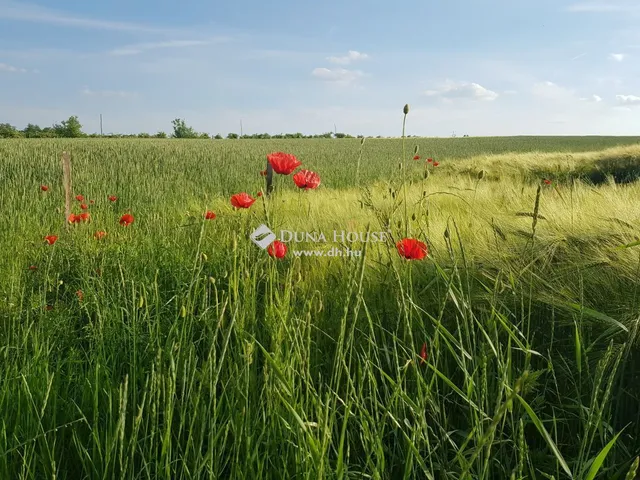 Eladó telek Balatonboglár 437534 nm