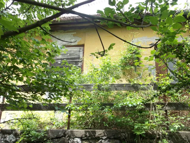 Eladó mezőgazdasági ingatlan Sátoraljaújhely 2499 nm