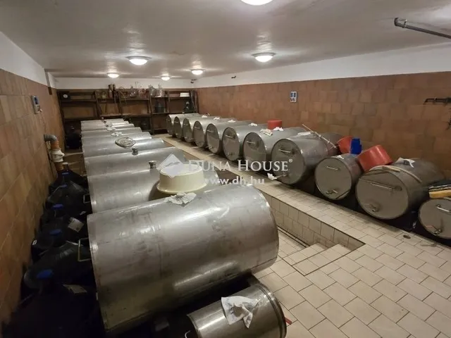 Eladó mezőgazdasági ingatlan Lakitelek 220 nm