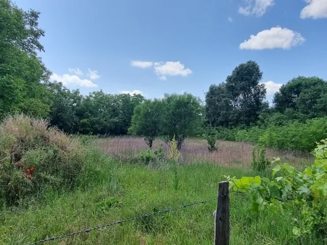 Eladó telek Helvécia 2000 nm