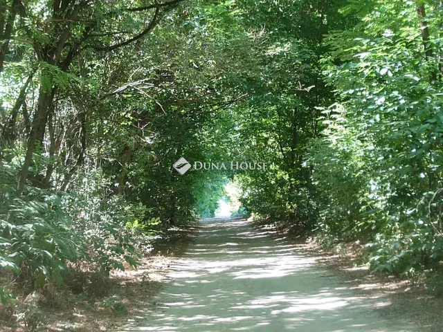 Eladó telek Kecskemét 6812 nm