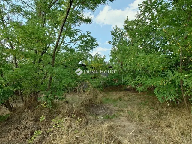 Eladó mezőgazdasági ingatlan Kecskemét 43 nm