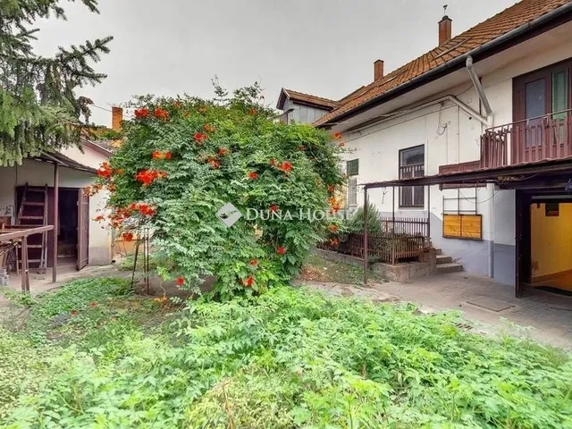 Eladó ház Kecskemét 230 nm