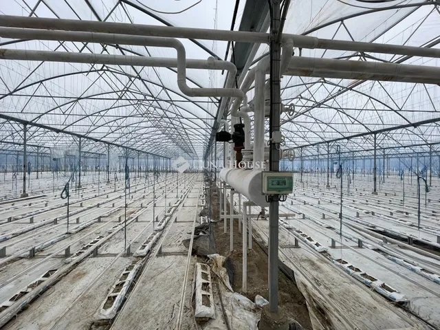 Eladó ház Szabadszállás 120 nm