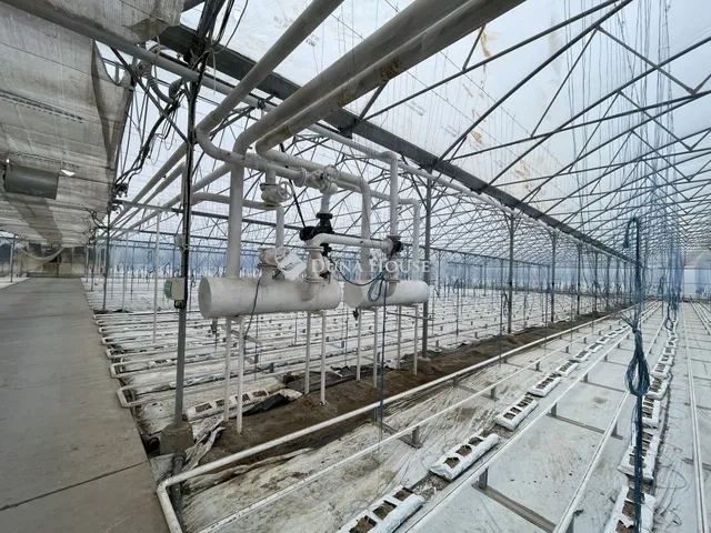 Eladó ház Szabadszállás 120 nm