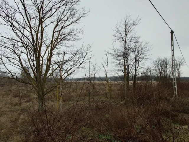 Eladó telek Kecskemét 8300 nm