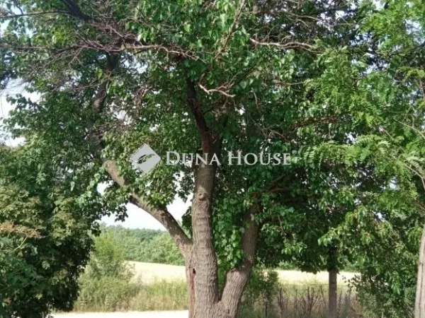 Eladó telek Kecskemét 2893 nm