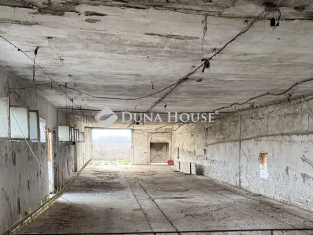 Kiadó kereskedelmi és ipari ingatlan Kecskemét, Borbás 300 nm