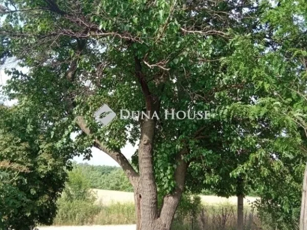 Eladó telek Kecskemét 2893 nm
