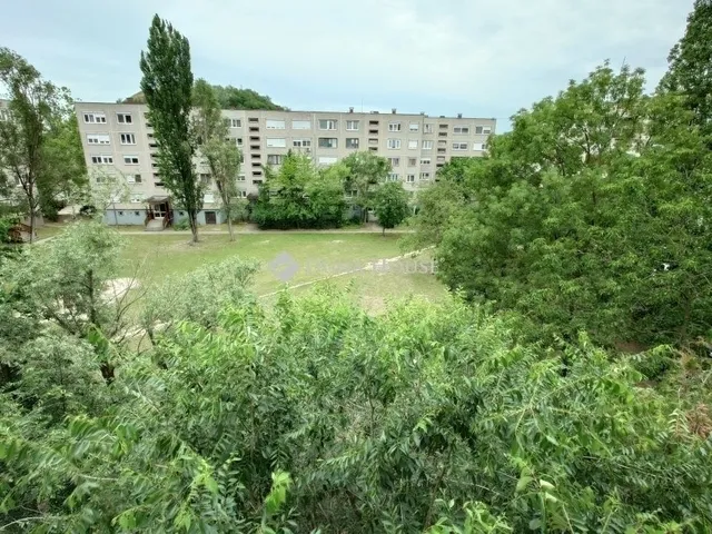 Eladó lakás Kecskemét 34 nm