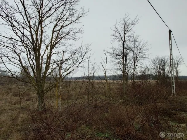 Eladó telek Kecskemét 8300 nm