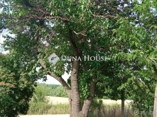 Eladó telek Kecskemét 2893 nm