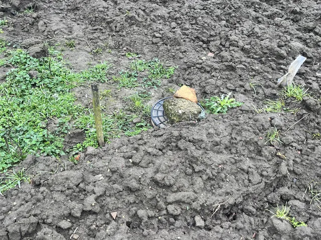 Eladó telek Doboz, Bartók Béla utca 1361 nm