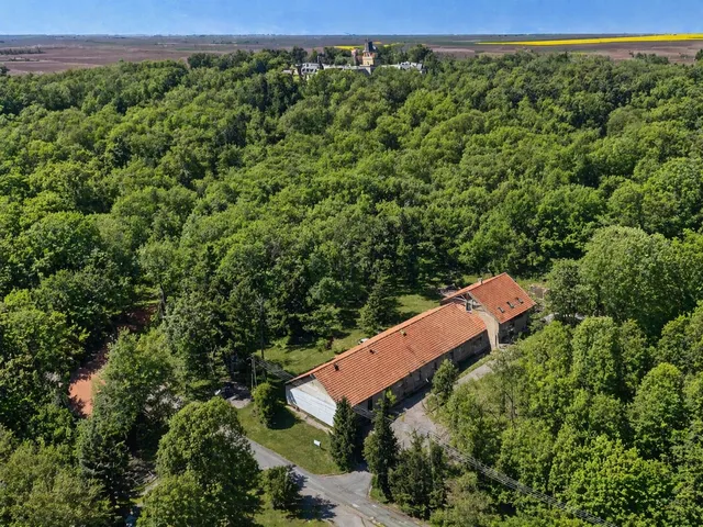 Eladó ház Szabadkígyós 950 nm