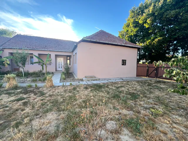 Eladó ház Zsadány 250 nm