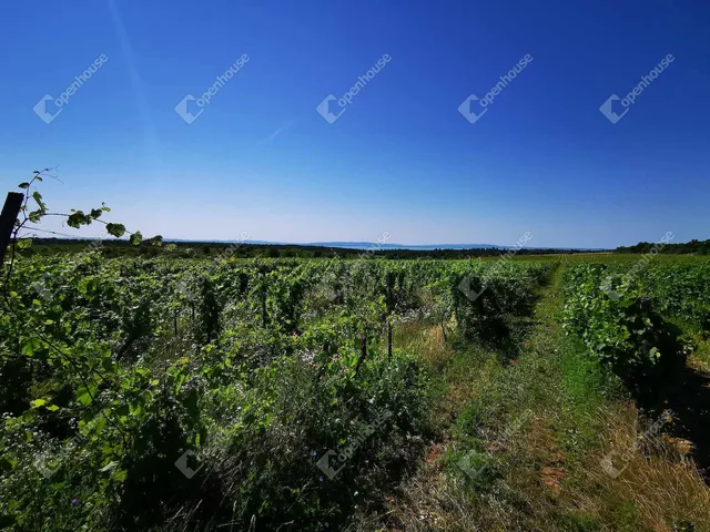 Eladó telek Dörgicse 31176 nm