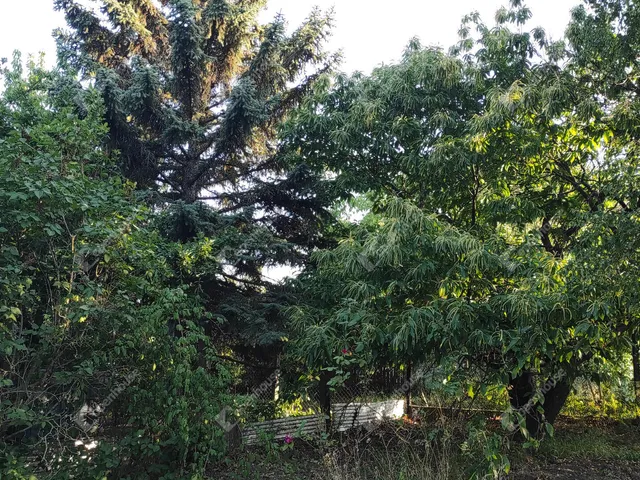 Eladó telek Veszprém, Csatárhegy 1200 nm