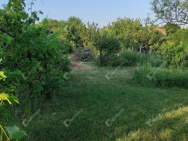 Eladó telek Veszprém, Csatárhegy 1200 nm