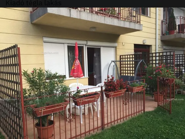 Kiadó lakás Debrecen, Belváros, Berek 68 nm