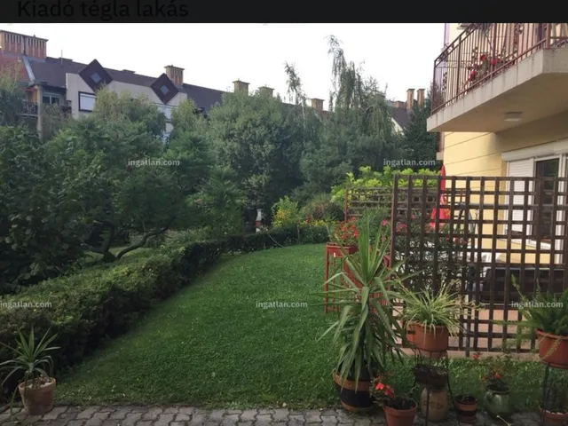 Kiadó lakás Debrecen, Belváros, Berek 68 nm