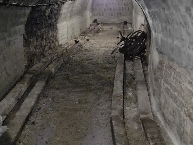 Eladó mezőgazdasági ingatlan Mád 95 nm