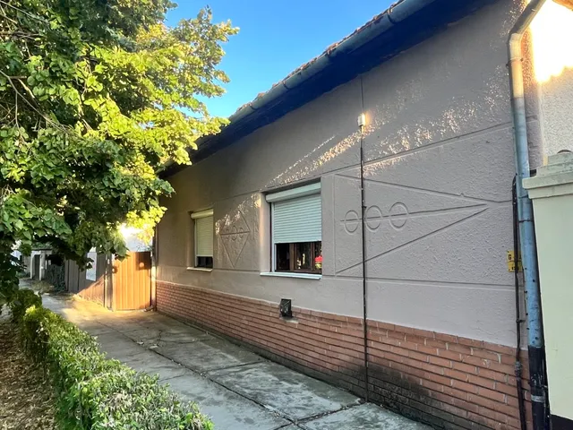 Eladó ház Zsadány 250 nm