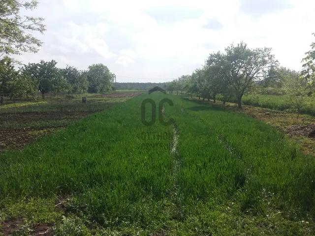 Eladó mezőgazdasági ingatlan Hajdúszoboszló 2379 nm