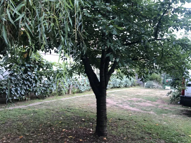 Eladó telek Nyíregyháza 495 nm