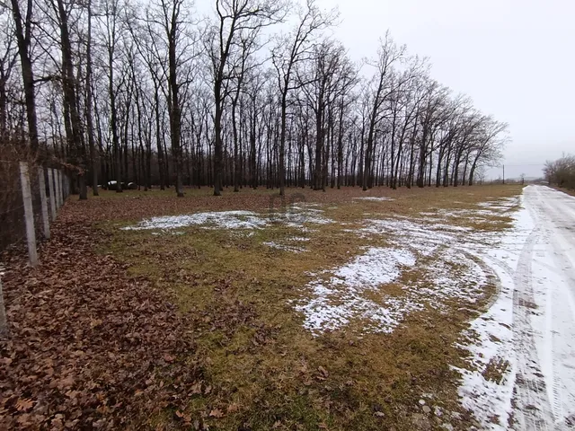 Eladó telek Hajdúszoboszló 5000 nm