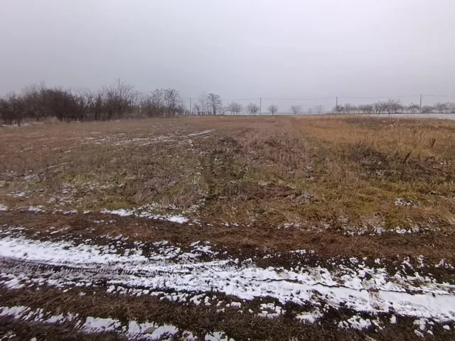 Eladó mezőgazdasági ingatlan Hajdúszoboszló, Csatornakert 1500 nm