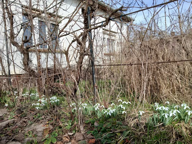 Eladó ház Nádudvar 70 nm