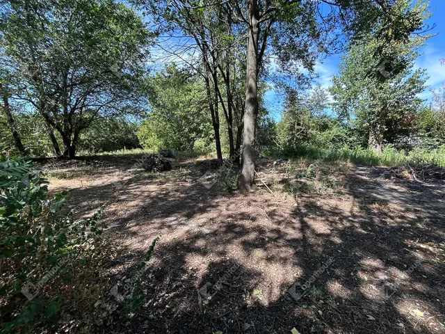 Eladó kereskedelmi és ipari ingatlan Monorierdő 494 nm