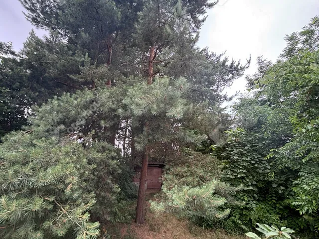 Eladó telek Monor 1802 nm