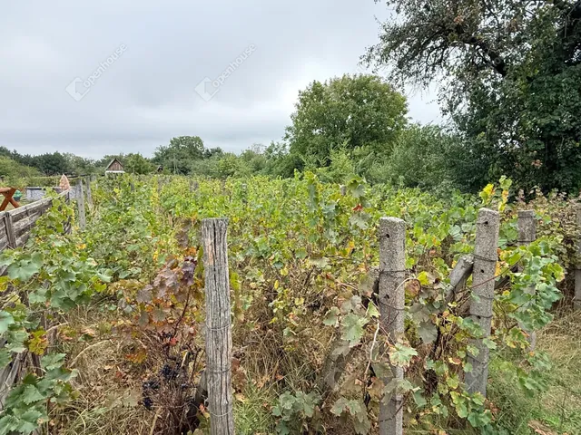 Eladó telek Monor 800 nm