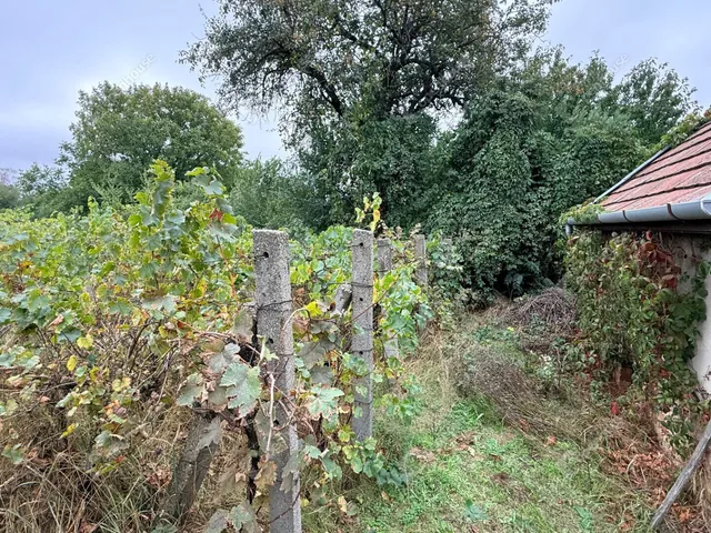 Eladó telek Monor 800 nm