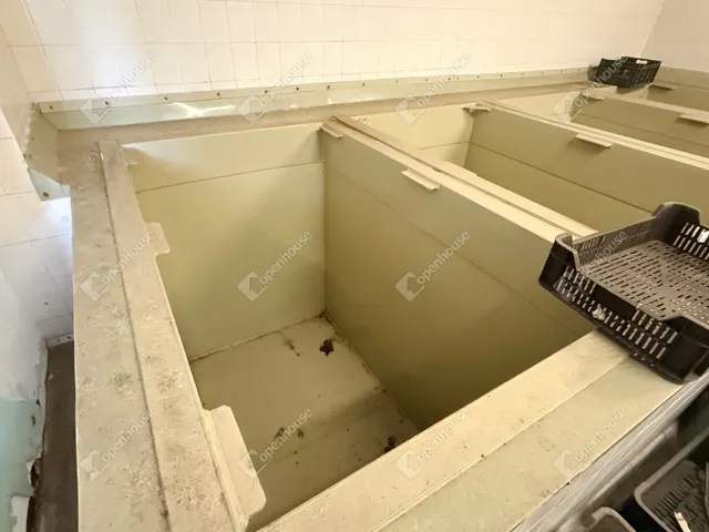 Eladó kereskedelmi és ipari ingatlan Monor 460 nm