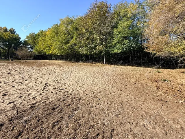 Eladó ház Pilis 170 nm