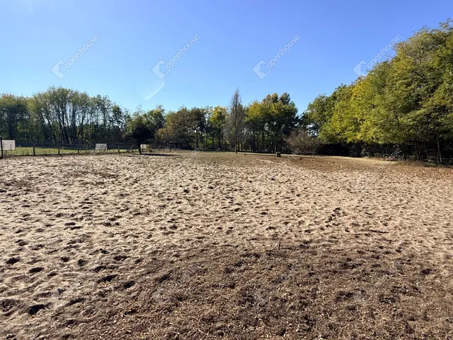 Eladó ház Pilis 170 nm