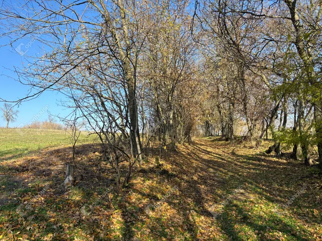 Eladó telek Gomba 3993 nm