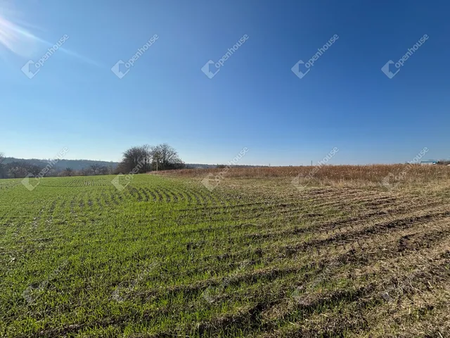 Eladó telek Gomba 3993 nm