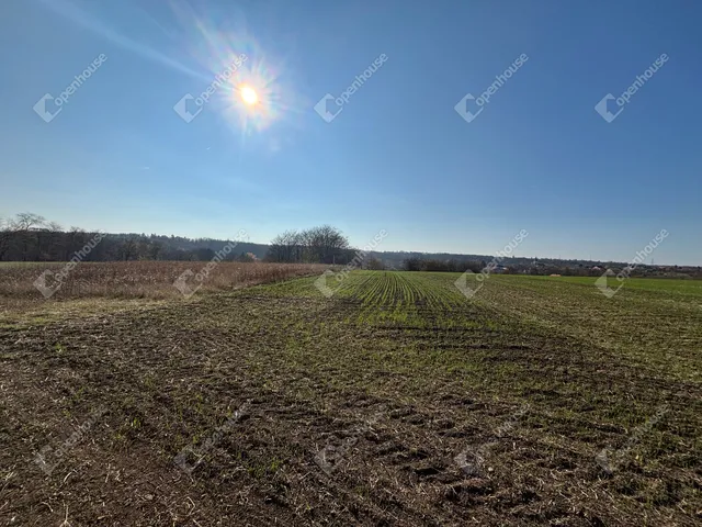 Eladó telek Gomba 3993 nm